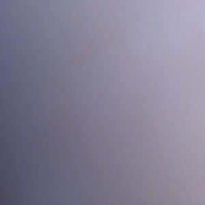 Meet your Posher, Laila